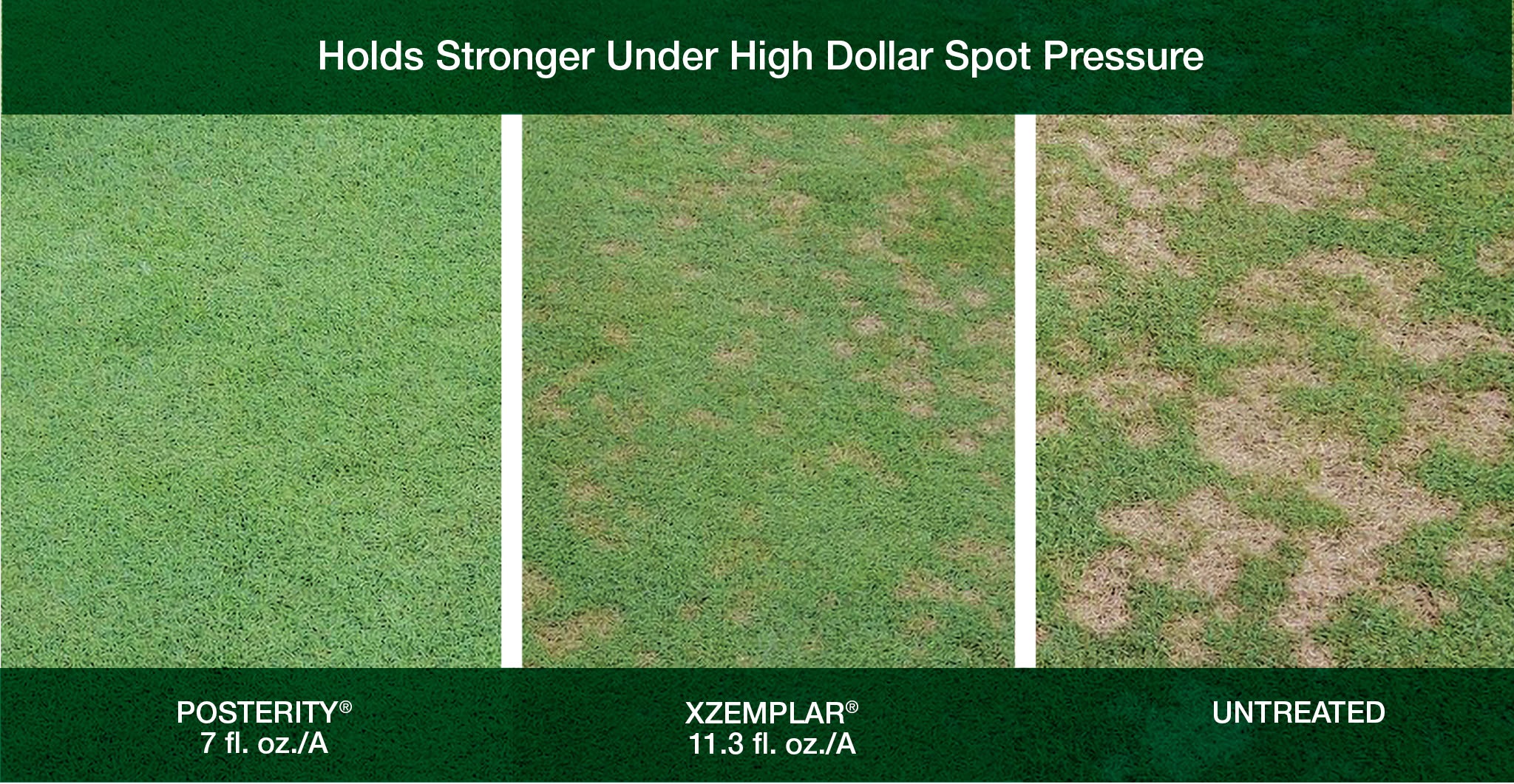 dollar spot solutions greencast syngenta dollar spot fungus