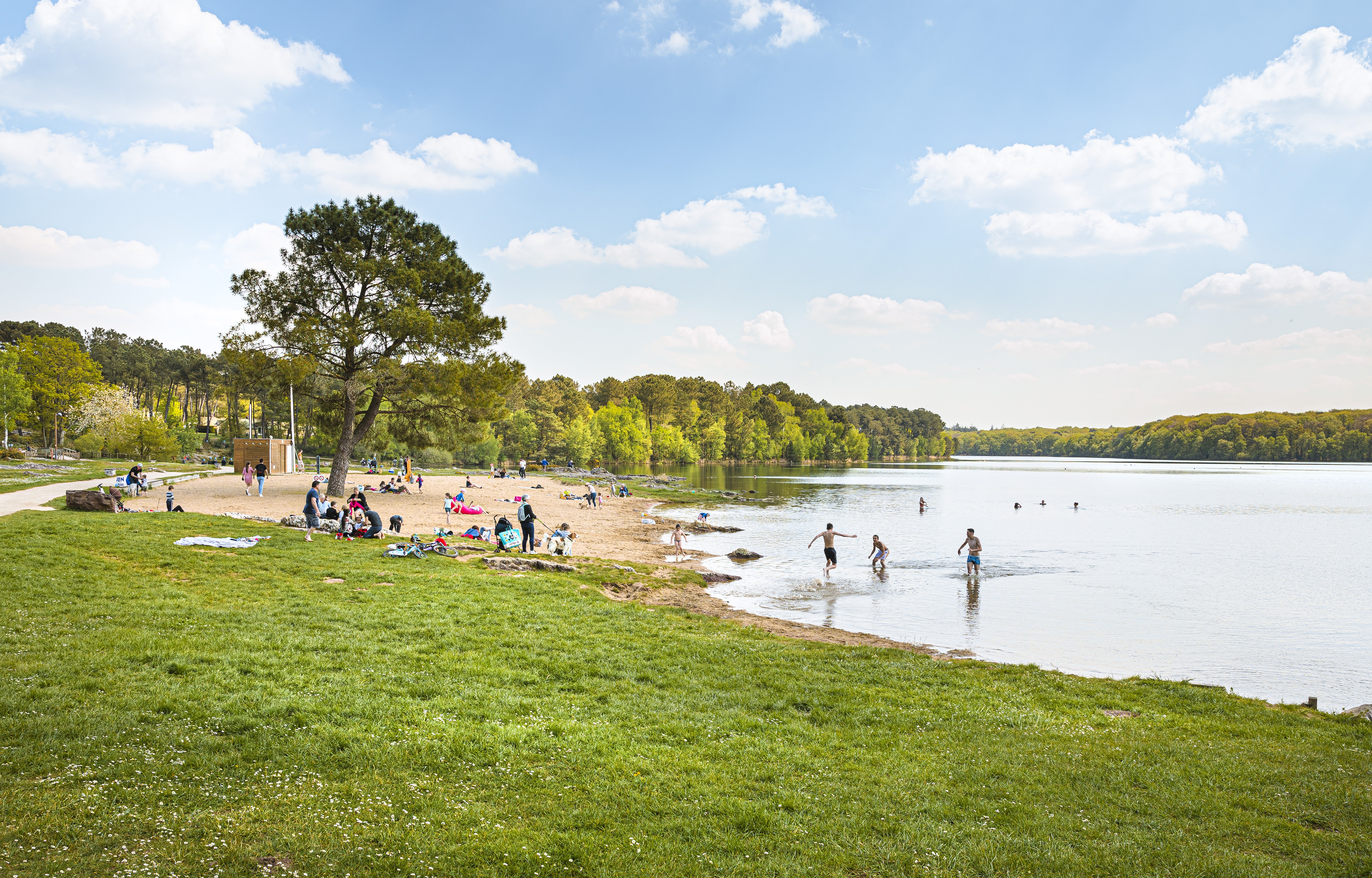 Tour De L étang De Vern Sur Seiche Plages d'eau douce en Ille-et-Vilaine : où vous rafraîchir cet été ? |  Département Ille et Vilaine