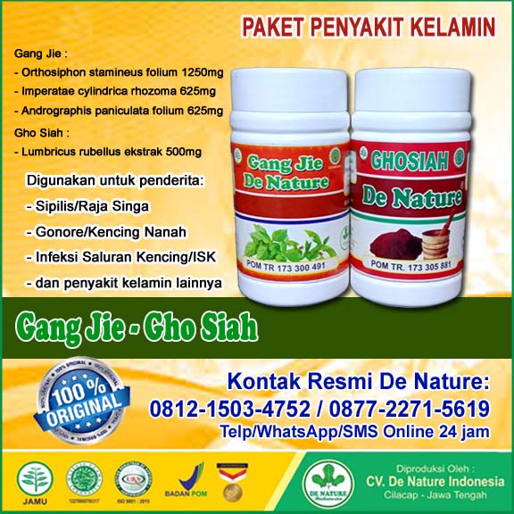 Storymapjs Nama Obat Sipilis Atau Raja Singa Di Apotik Umum Paling Ampuh