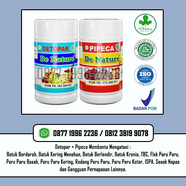 Storymapjs Pusat Obat Batuk Kering Berlendir Ada Sedikit Bercak Darah Ampuh Anjuran Dokter